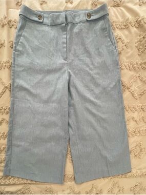 LOFT Light Blue Cropped Wide-Leg Pants